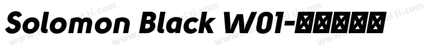 Solomon Black W01字体转换